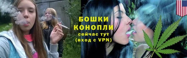 молекула духа Покров