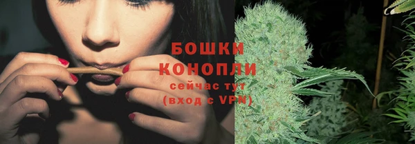 мдпв Анива