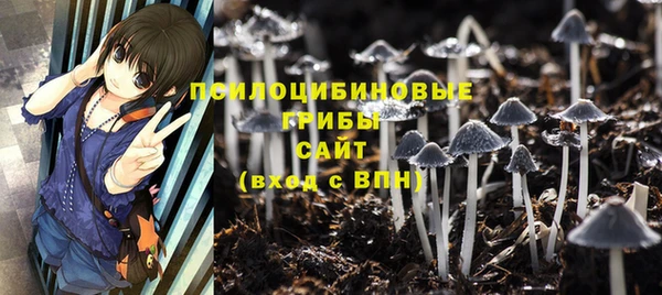 амф Покачи