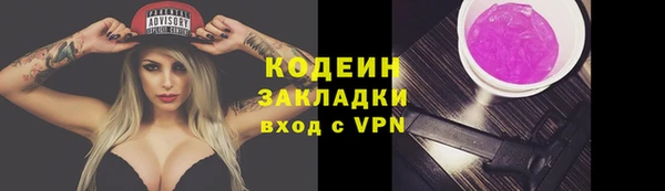 молекула духа Покров