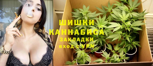 амф Покачи