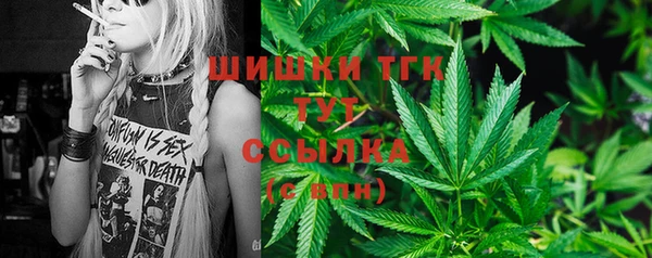 мдпв Анива