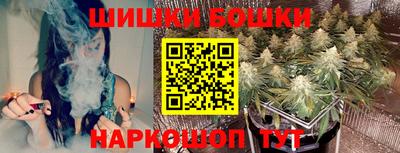 твердый Будённовск