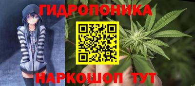 молекула духа Гай