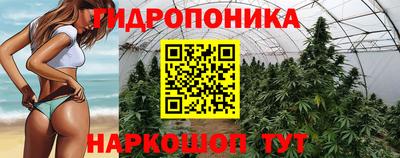 прущая мука Гатчина